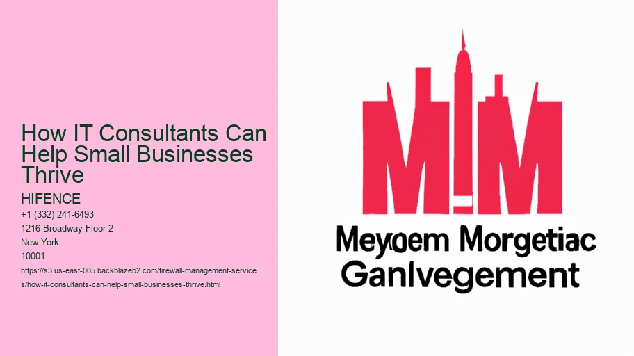 How IT Consultants Can Help Small Businesses Thrive