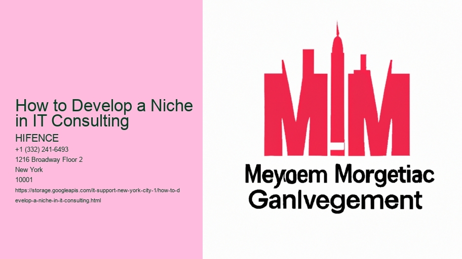 How to Develop a Niche in IT Consulting