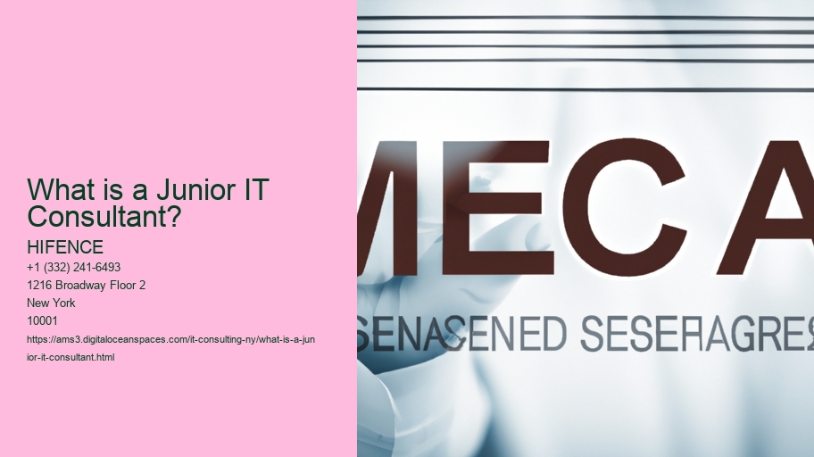 What is a Junior IT Consultant?