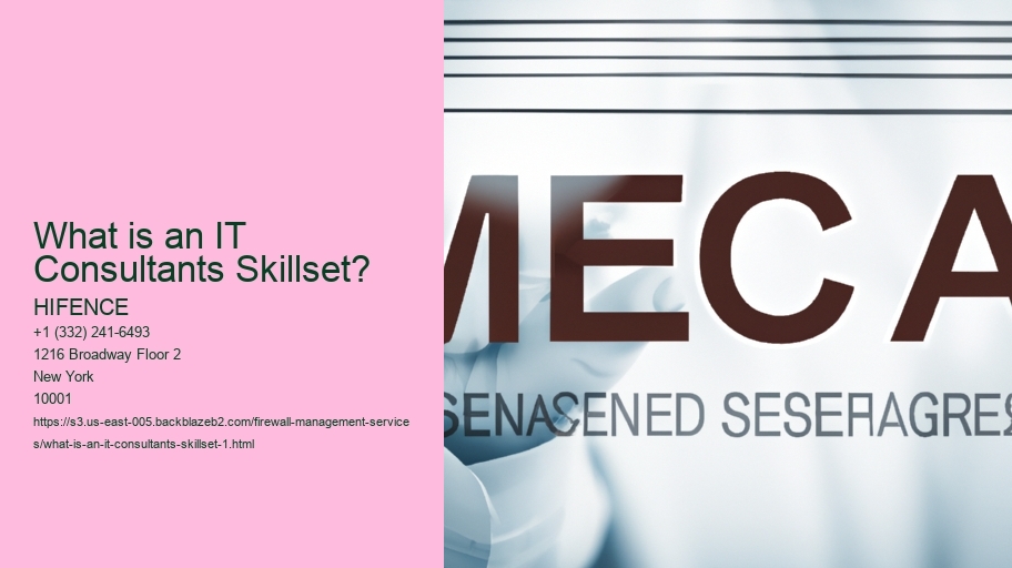 What is an IT Consultants Skillset?