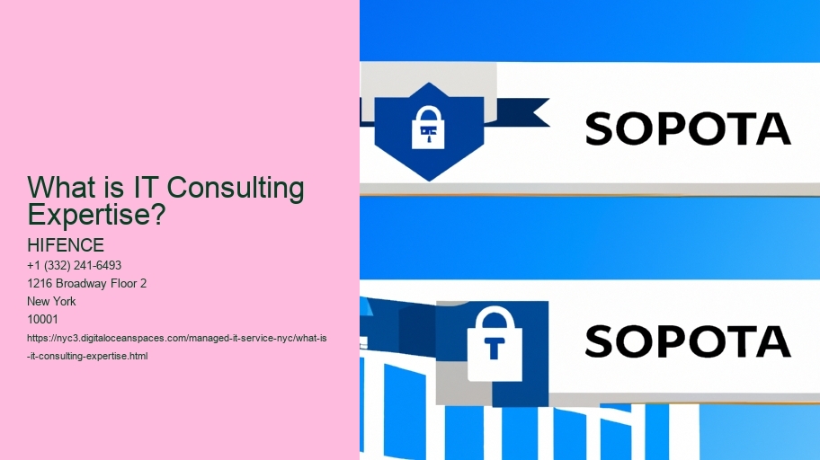 What is IT Consulting Expertise?