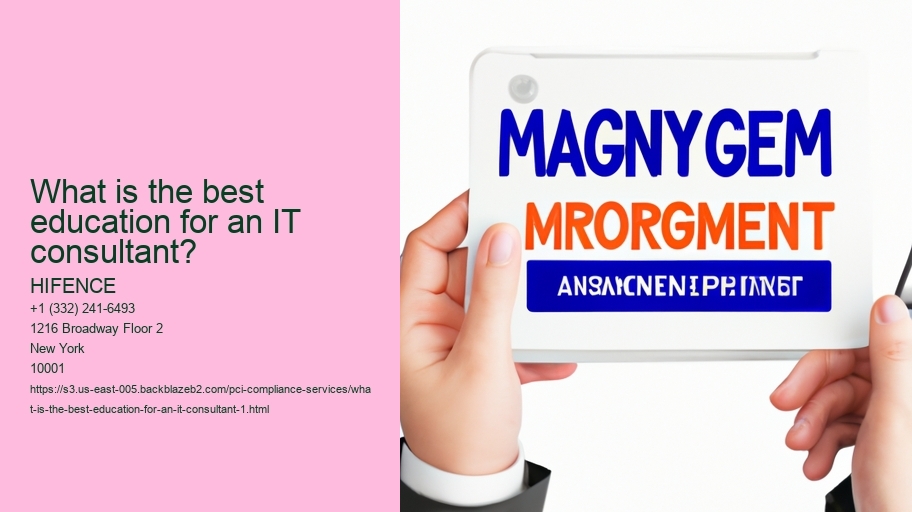 What is the best education for an IT consultant?