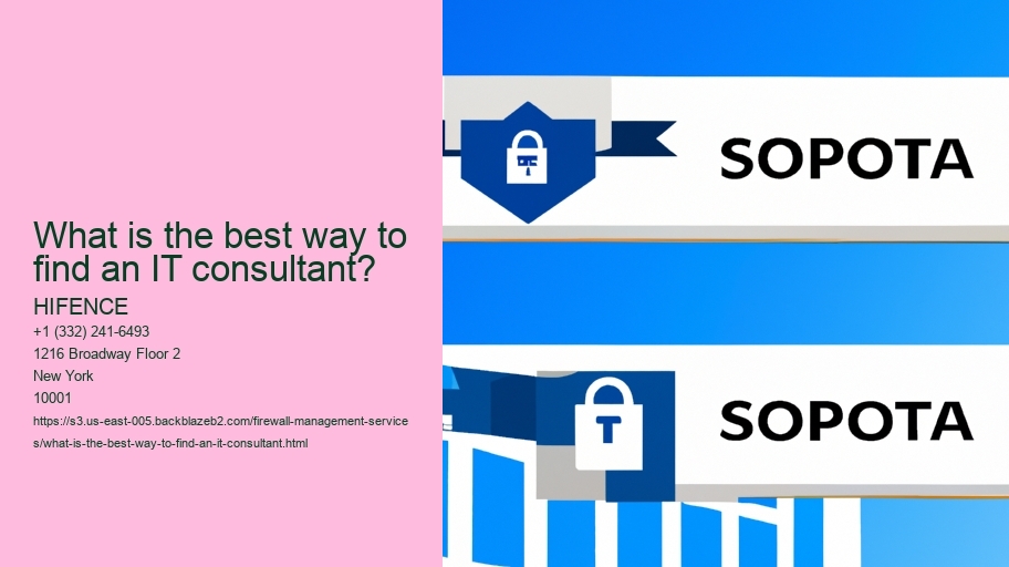 What is the best way to find an IT consultant?