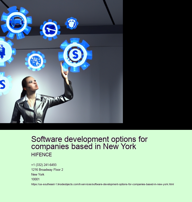 Software development options for companies based in New York 