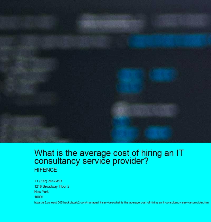 What is the average cost of hiring an IT consultancy service provider?