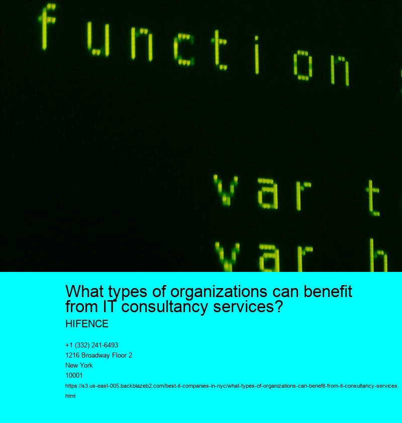 What types of organizations can benefit from IT consultancy services?