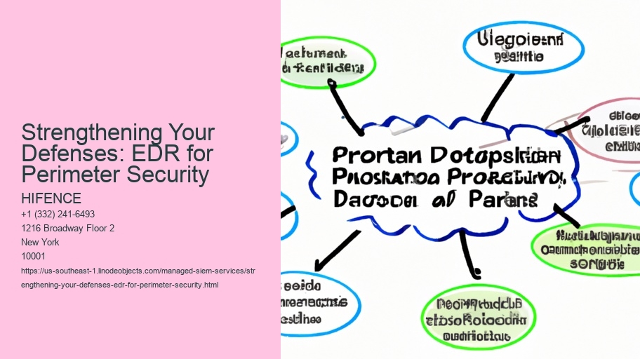 Strengthening Your Defenses: EDR for Perimeter Security