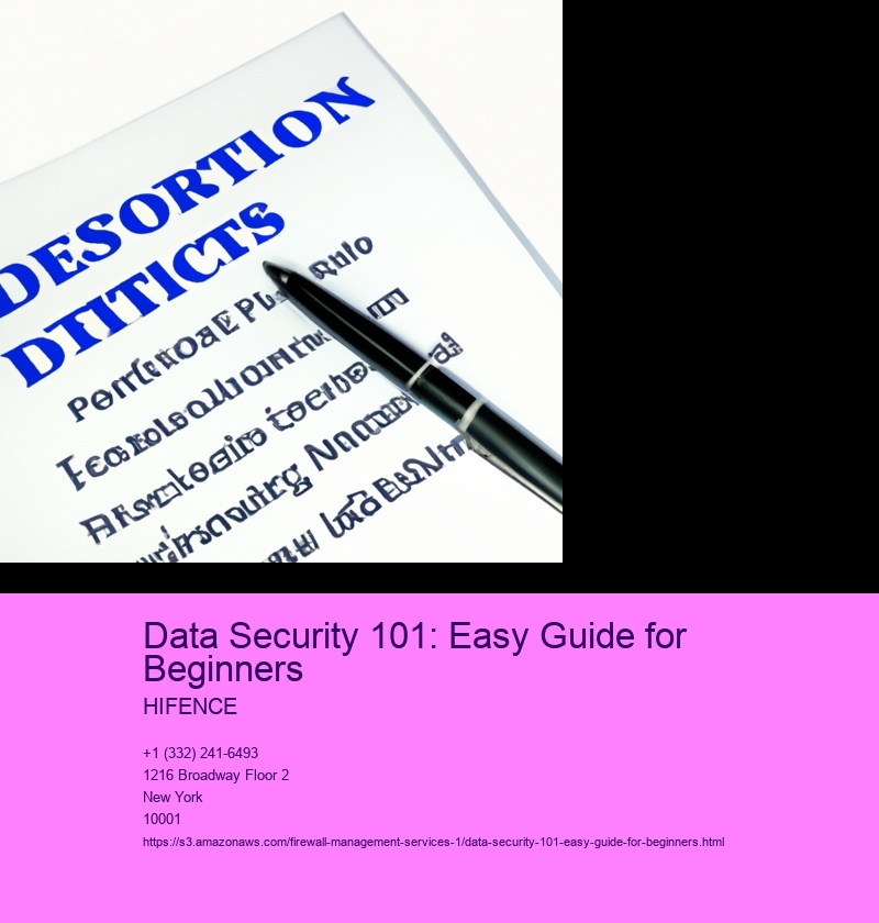 Data Security 101: Easy Guide for Beginners
