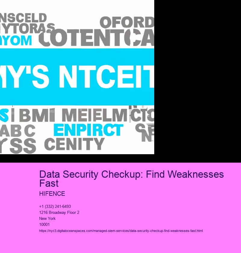 Data Security Checkup: Find Weaknesses Fast