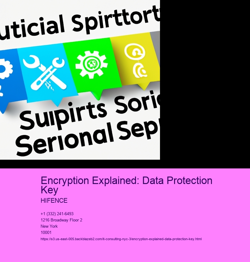 Encryption Explained: Data Protection Key