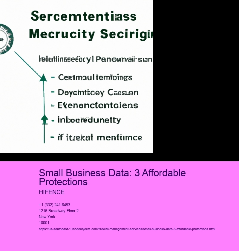 Small Business Data: 3 Affordable Protections