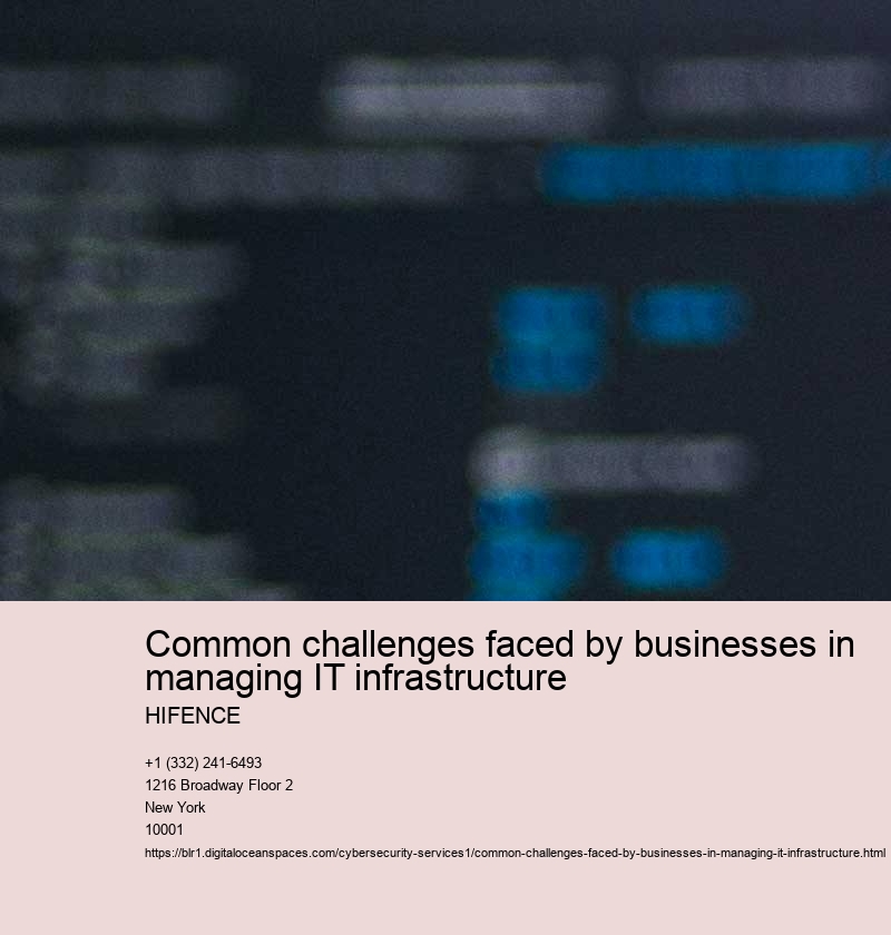 Limited budget for IT infrastructure upgrades and maintenance