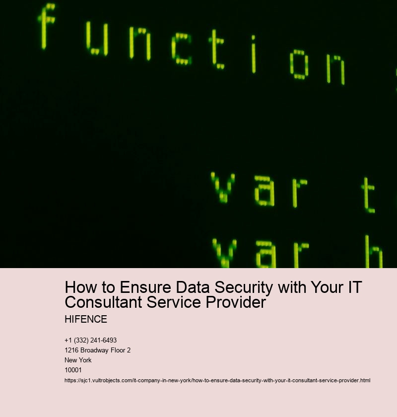 Conduct thorough background checks on IT consultant service provider