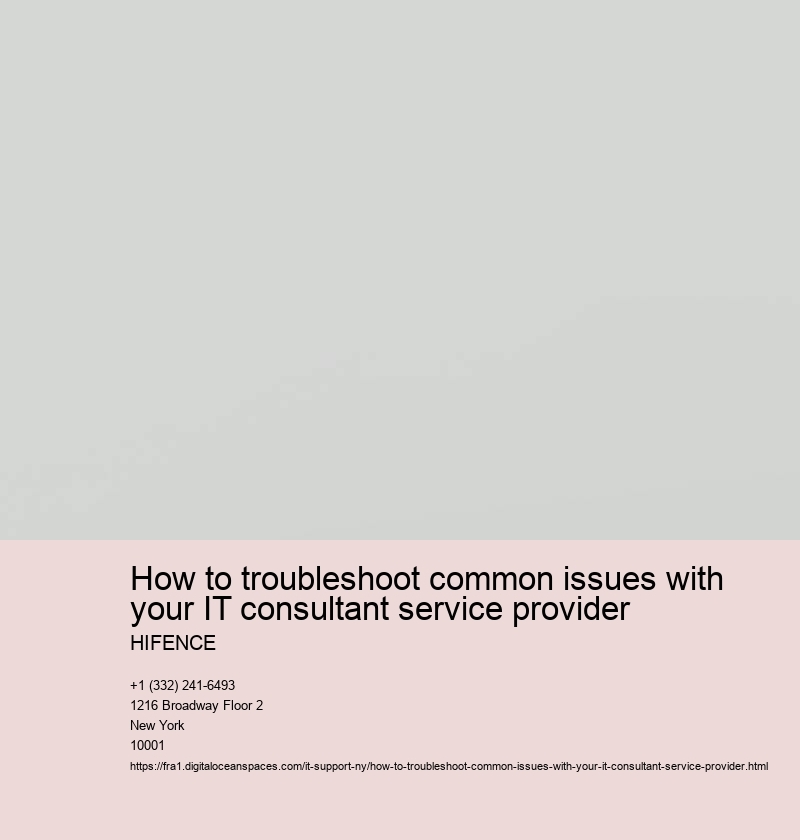 How to troubleshoot common issues with your IT consultant service provider