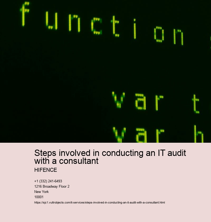 Steps involved in conducting an IT audit with a consultant 