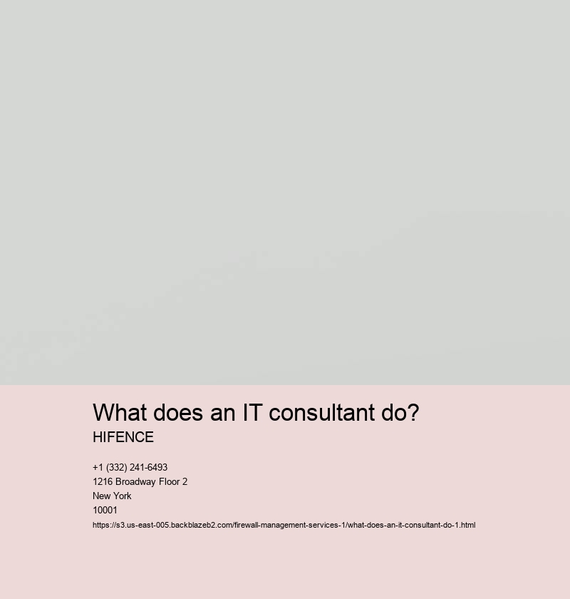 Assess client's IT needs and goals