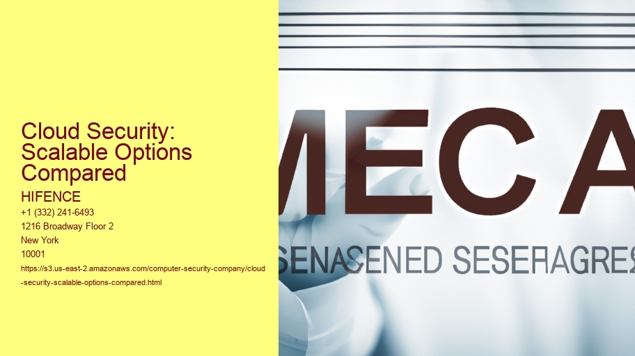 Cloud Security: Scalable Options Compared