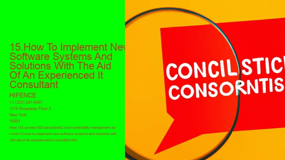 15.How To Implement New Software Systems And Solutions With The Aid Of An Experienced It Consultant