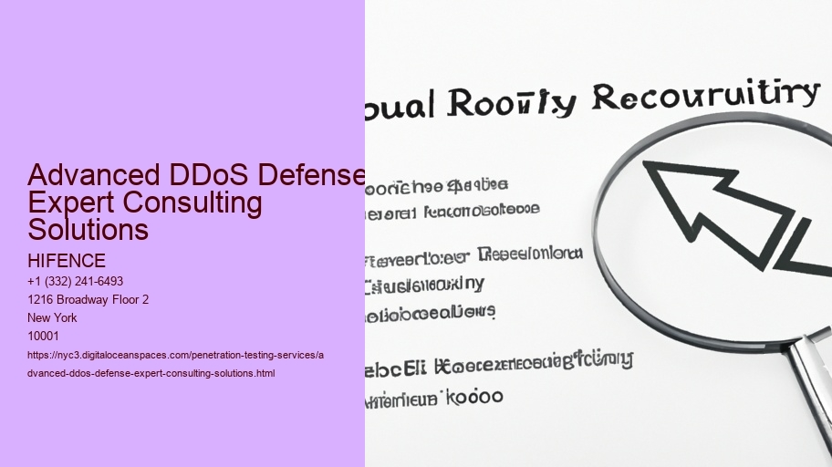 Advanced DDoS Defense: Expert Consulting Solutions