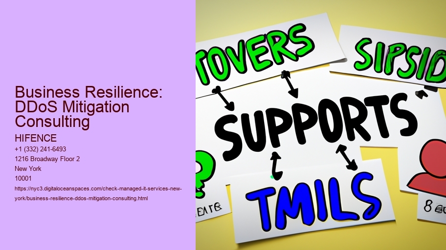 Business Resilience: DDoS Mitigation Consulting
