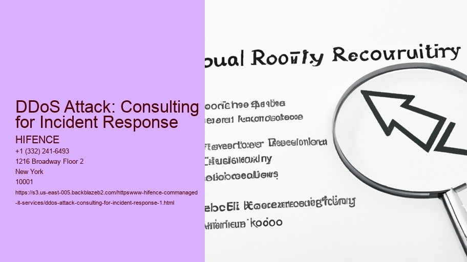 DDoS Attack: Consulting for Incident Response