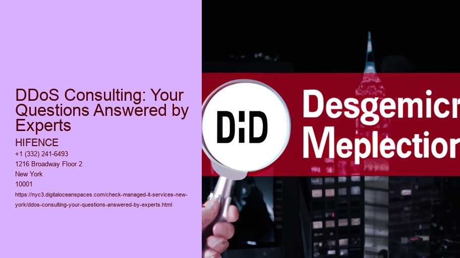 DDoS Consulting: Your Questions Answered by Experts