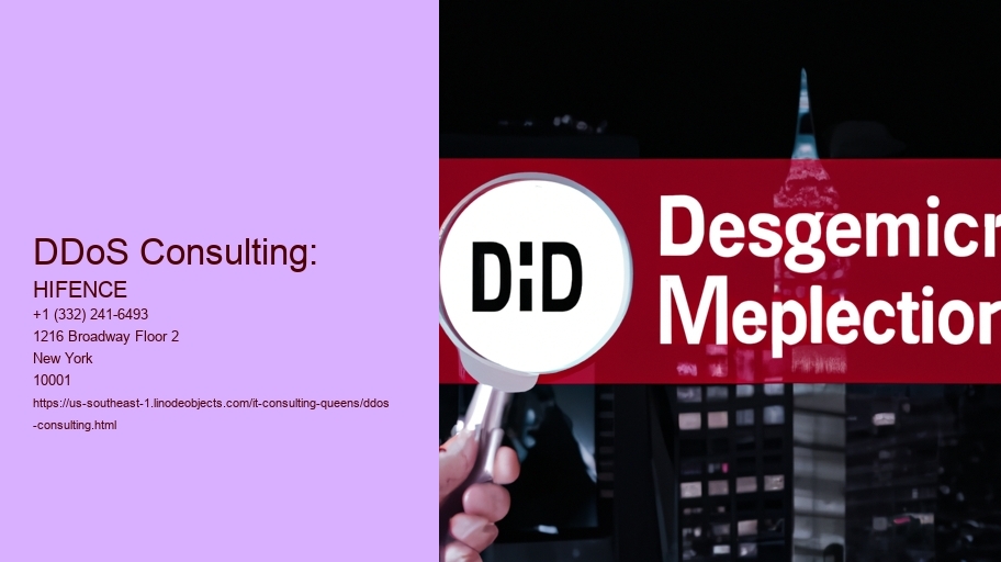 DDoS Consulting: