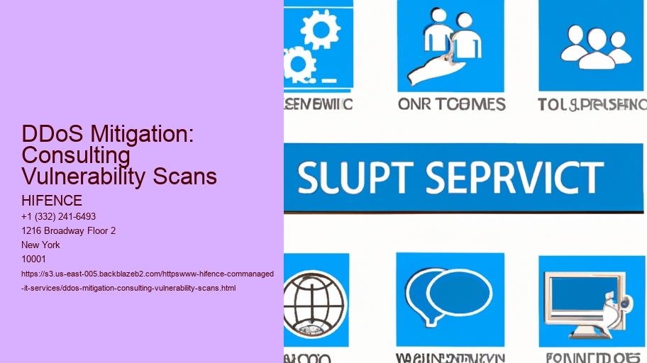 DDoS Mitigation: Consulting Vulnerability Scans