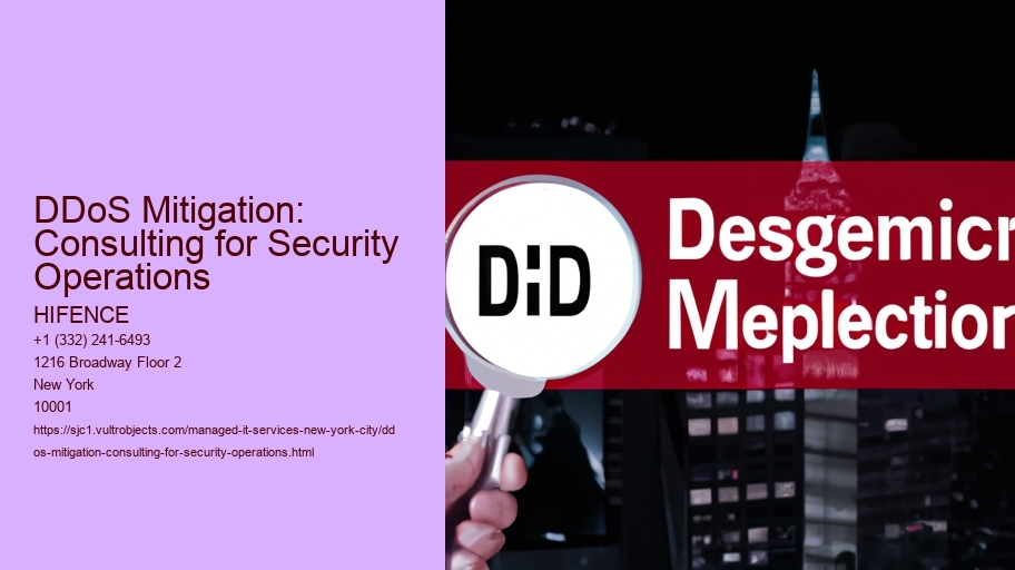 DDoS Mitigation: Consulting for Security Operations