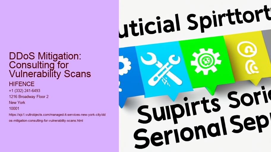 DDoS Mitigation: Consulting for Vulnerability Scans
