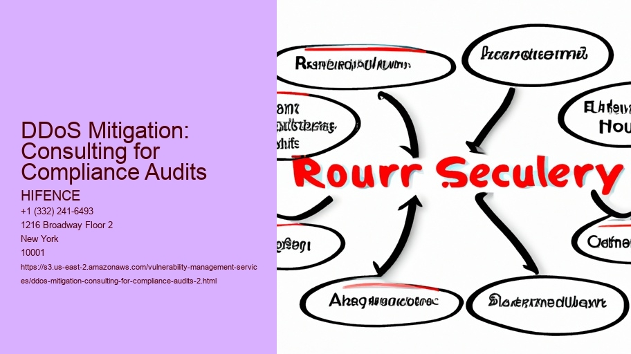 DDoS Mitigation: Consulting for Compliance Audits