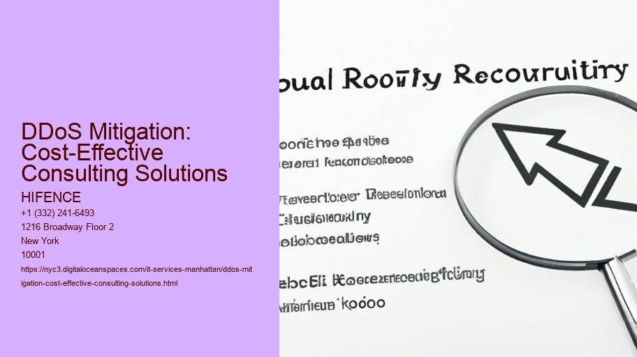 DDoS Mitigation: Cost-Effective Consulting Solutions