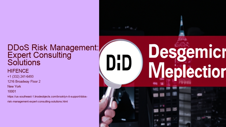 DDoS Risk Management: Expert Consulting Solutions