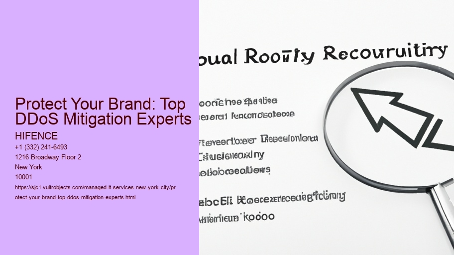 Protect Your Brand: Top DDoS Mitigation Experts
