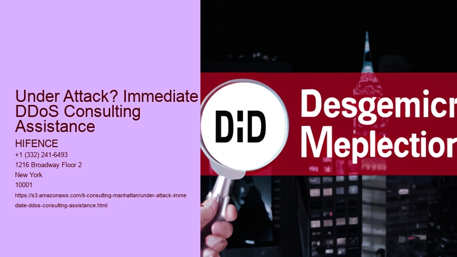 Under Attack? Immediate DDoS Consulting Assistance