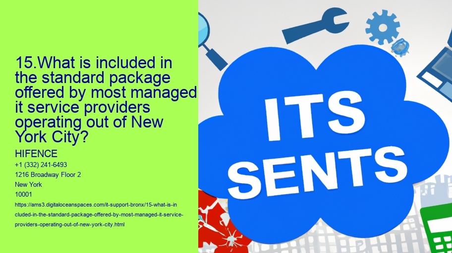 15.What is included in the standard package offered by most managed it service providers operating out of New York City?