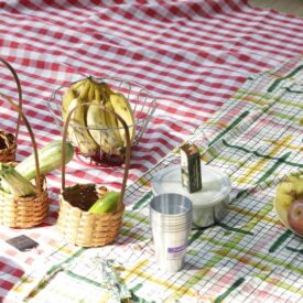 A imagem apresenta um cenário de piquenique com toalhas de mesa de padrão xadrez vermelho e branco. Em primeiro plano, há três cestas de vime: uma contém uma batata-doce roxa, outra tem um pepino e a terceira possui uma banana. Ao centro, uma tigela com bananas é visível. Também há um recipiente redondo com uma tampa, um copo metálico prateado e uma caixa de suco. À direita, uma travessa com maçãs e peras está disposta. O ambiente é iluminado, sugerindo um dia ensolarado.