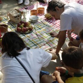 A cena retrata um piquenique ao ar livre, onde várias pessoas estão reunidas em um cobertor xadrez. No centro, há uma variedade de alimentos, incluindo uma bandeja com maçãs e outros itens em cestos. Dois adultos e duas crianças estão interagindo, com um adulto inclinado sobre a comida e uma criança segurando um pedaço de fruta. Os adultos vestem camisetas casuais, e uma das crianças usa uma camiseta amarela com a palavra "BRASIL". O ambiente parece ensolarado e descontraído, com um clima de confraternização.
