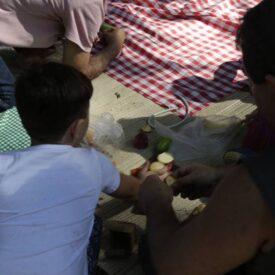 A imagem mostra um grupo de pessoas em um piquenique, sentadas em um chão de cimento. Um menino, de costas, está próximo a um adulto que está cortando frutas. O menino usa uma camiseta branca e parece estar ajudando. Ao fundo, há uma toalha de piquenique com padrão xadrez vermelho e branco, e outras pessoas estão visíveis, algumas com roupas em padrões variados. O ambiente parece ser ao ar livre, com luz natural.