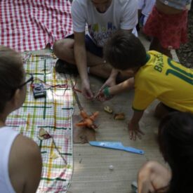 Um grupo de pessoas está reunido em um ambiente ao ar livre, sentado sobre um tapete ou lona. Eles estão envolvidos em uma atividade que parece ser relacionada a artesanato ou culinária, utilizando vegetais, como uma cenoura e pedaços de maçã. Uma criança, vestindo uma camiseta amarela com o número 10, está manipulando os ingredientes com a ajuda de um adulto. Ao fundo, há uma toalha de piquenique com padrão xadrez vermelho e branco, e algumas cestas com frutas. A cena transmite um clima de descontração e interação familiar.