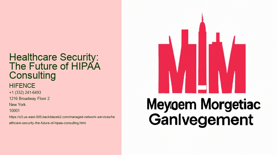 Healthcare Security: The Future of HIPAA Consulting