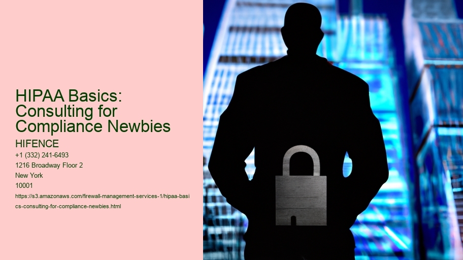 HIPAA Basics: Consulting for Compliance Newbies