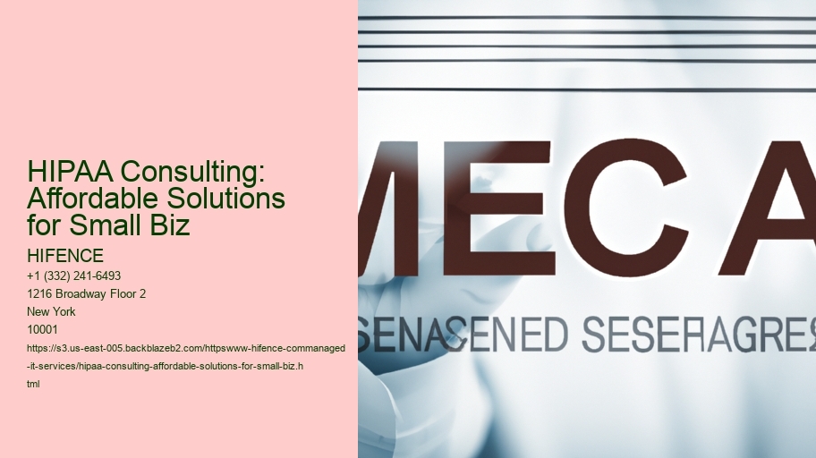 HIPAA Consulting: Affordable Solutions for Small Biz