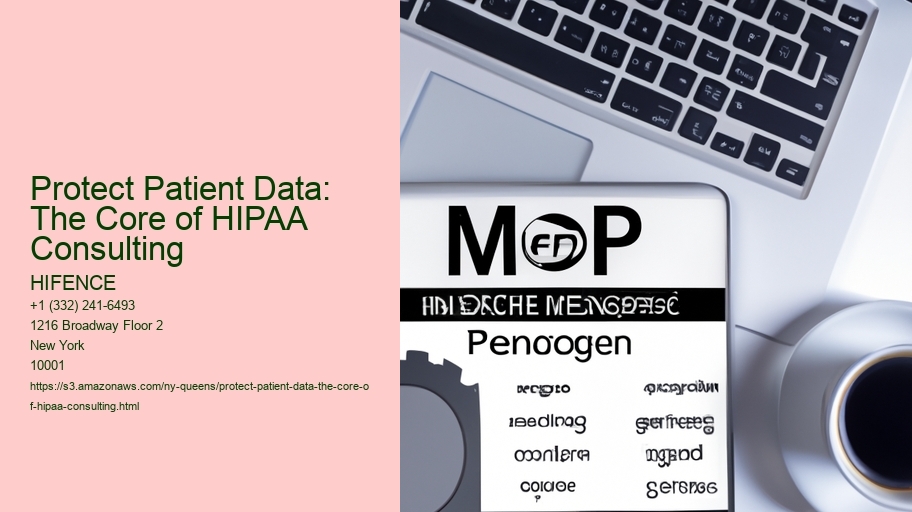 Protect Patient Data: The Core of HIPAA Consulting