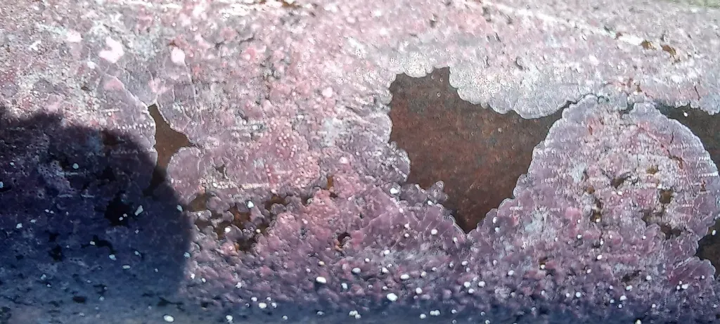 Thin Corolline Crust