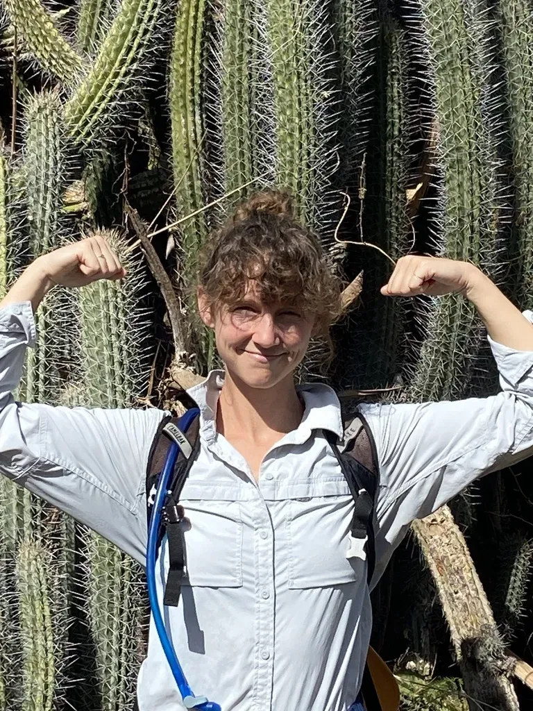 Spanish Stenocereus