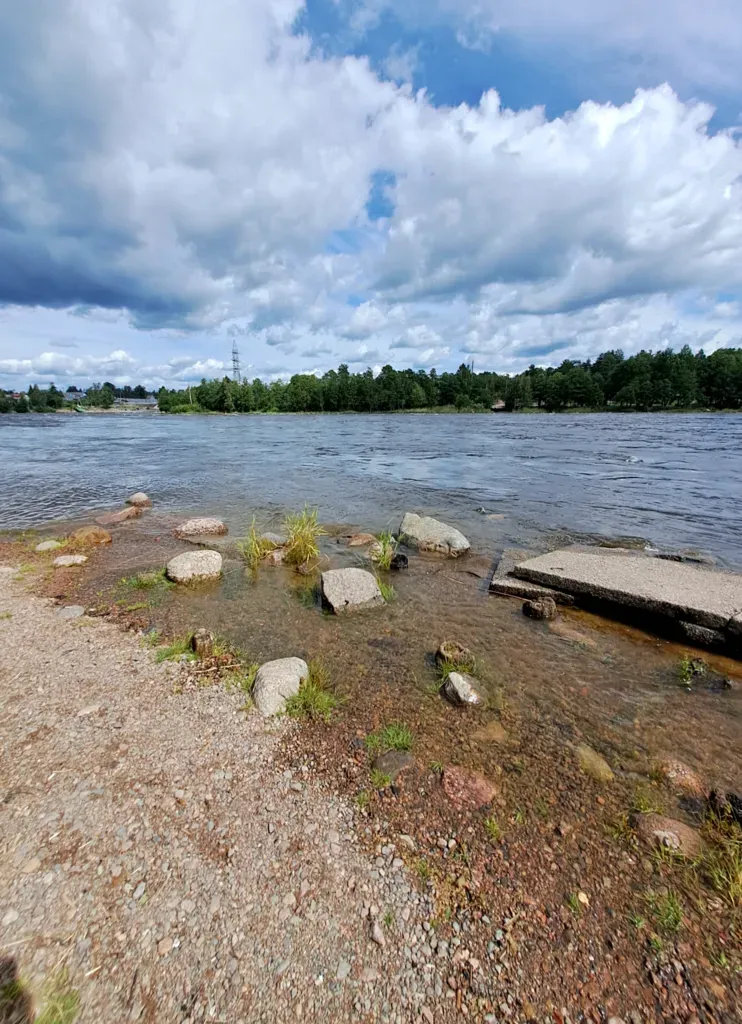 Lemmermannia Tetrapedia