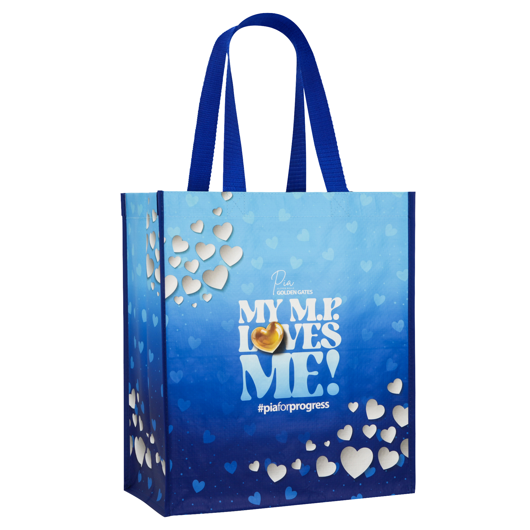 Laminated woven PP bag