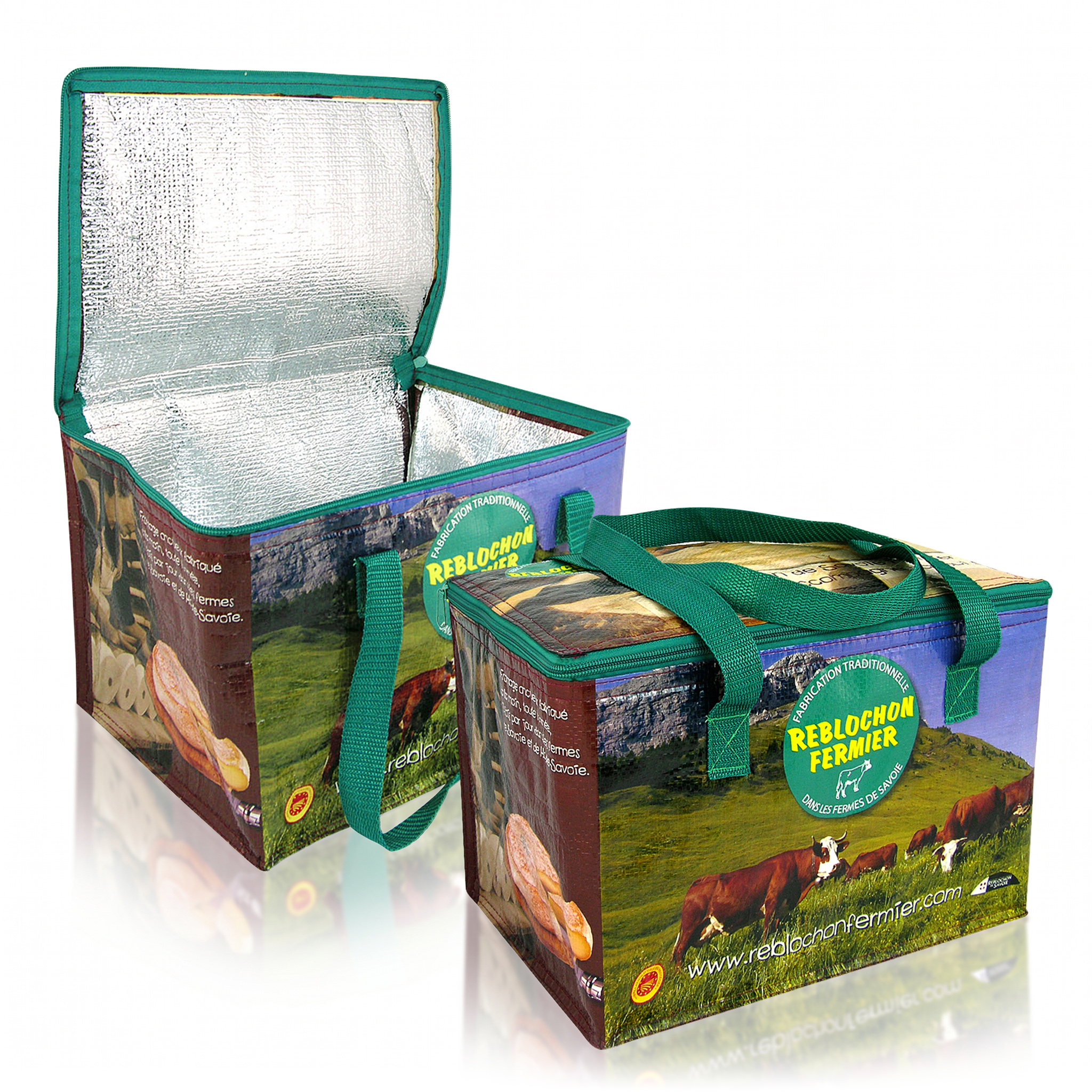 Insulated Cooler Bag