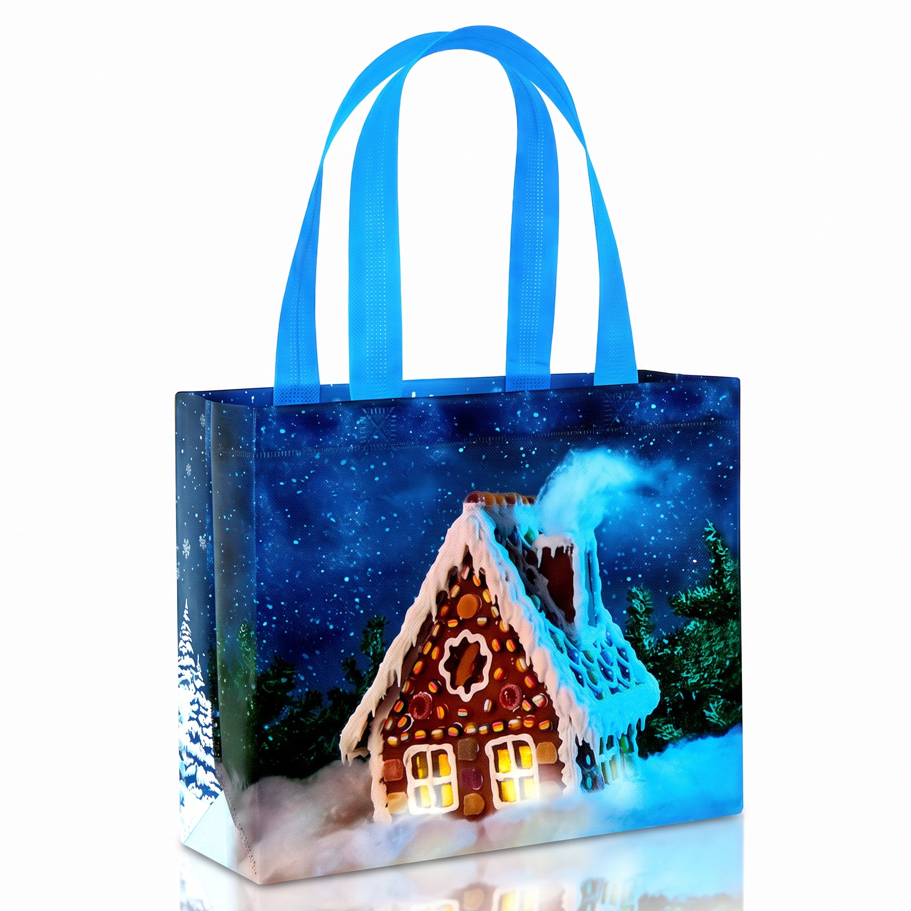 Holiday Bag